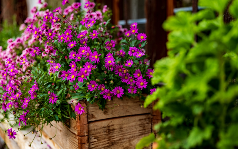 Blumenkasten Kreative DIY-Anleitung für deine Traumprojekt