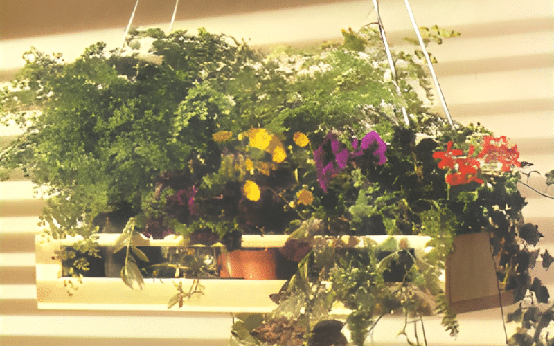 Blumenkasten Kreative DIY-Anleitung für deine Traumprojekt