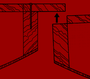 Buecherschrank-Raumgestaltung 