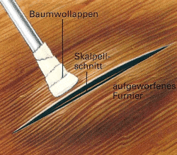 Das Ersatzstück liegt unter dem auszubessernden Furnier. 