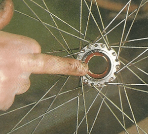 Rücktrittbremse am Fahrrad warten